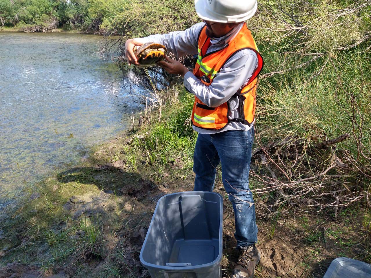PRAMSEI: Proyectos ambientales en etapas constructivas y operativas (148)